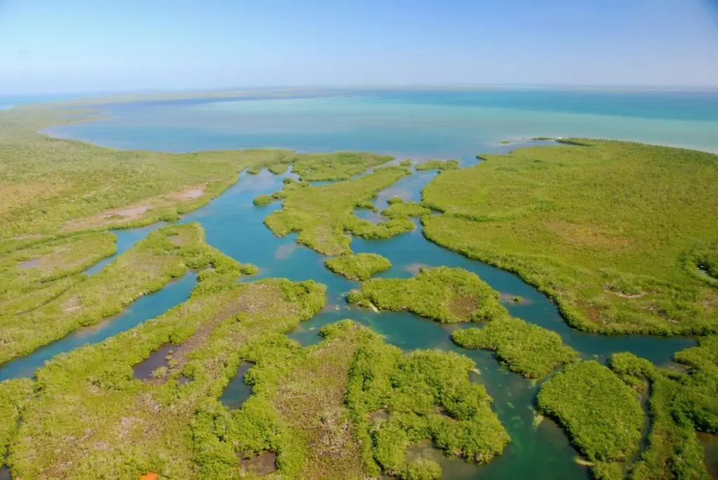 Landscape photo of the islands and waterways around Turneffe Atoll, Belize