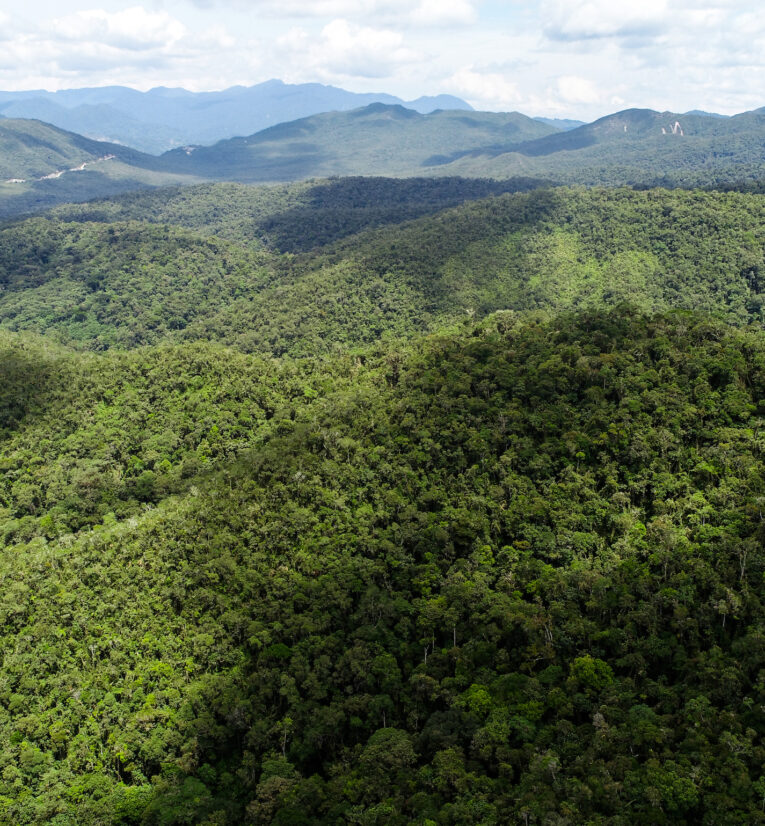 Landscape of the tree-covered hills of El Toro Forest, Peru