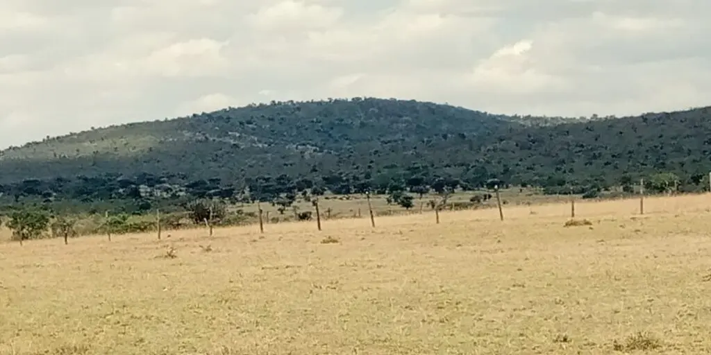 The-land-forested_-Fencing-of-individual-plots-blocks-wildlife-migratory-area.