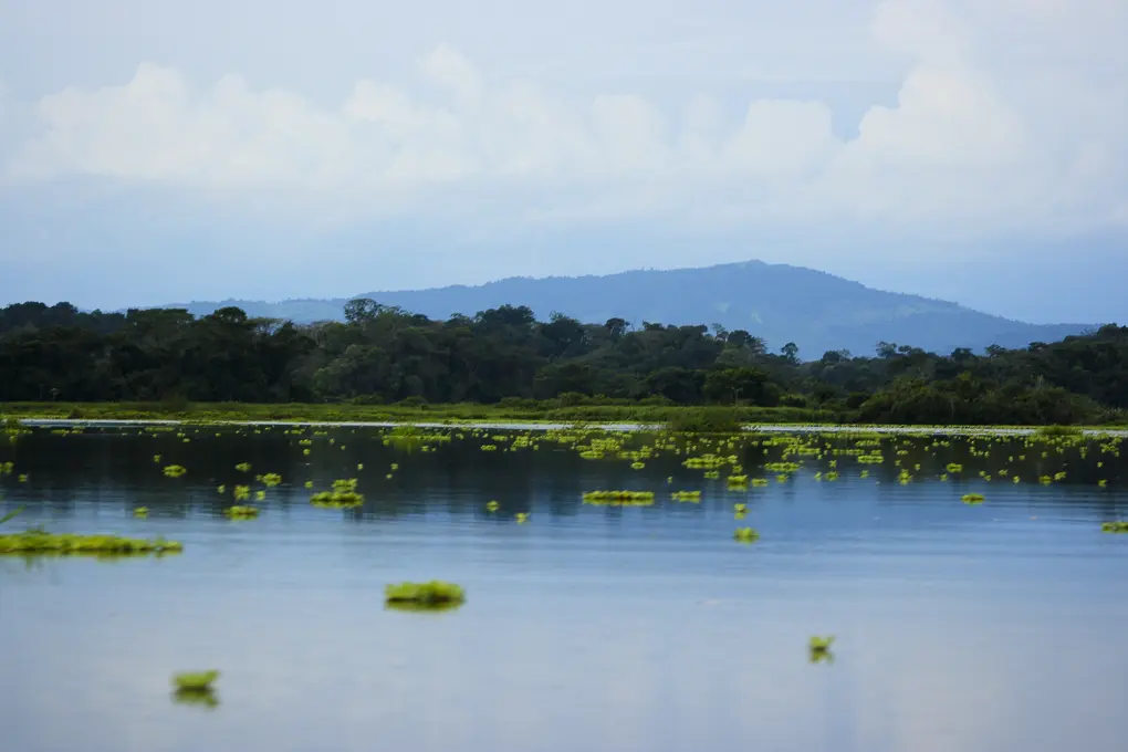 Landscape photo of Barbacoas wetlands, part of Magdalena Valley, Colombia, with water in the foreground and grasses, trees and mountains in the background.