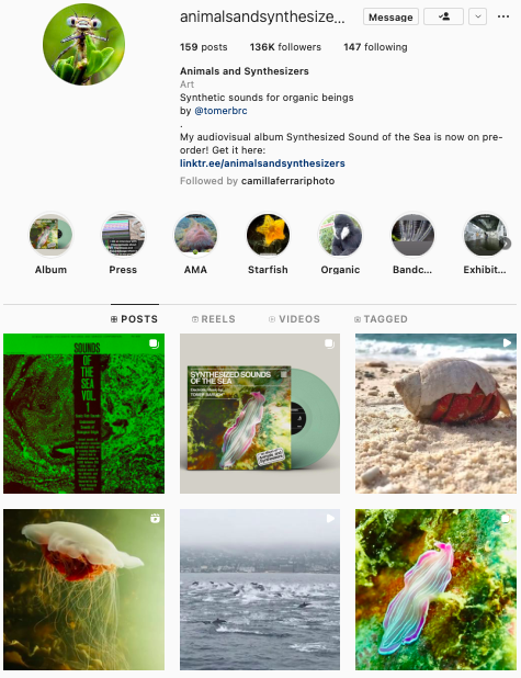 Tomer Braruch's Instagram profile is being followed by +100K people.

https://www.instagram.com/animalsandsynthesizers/