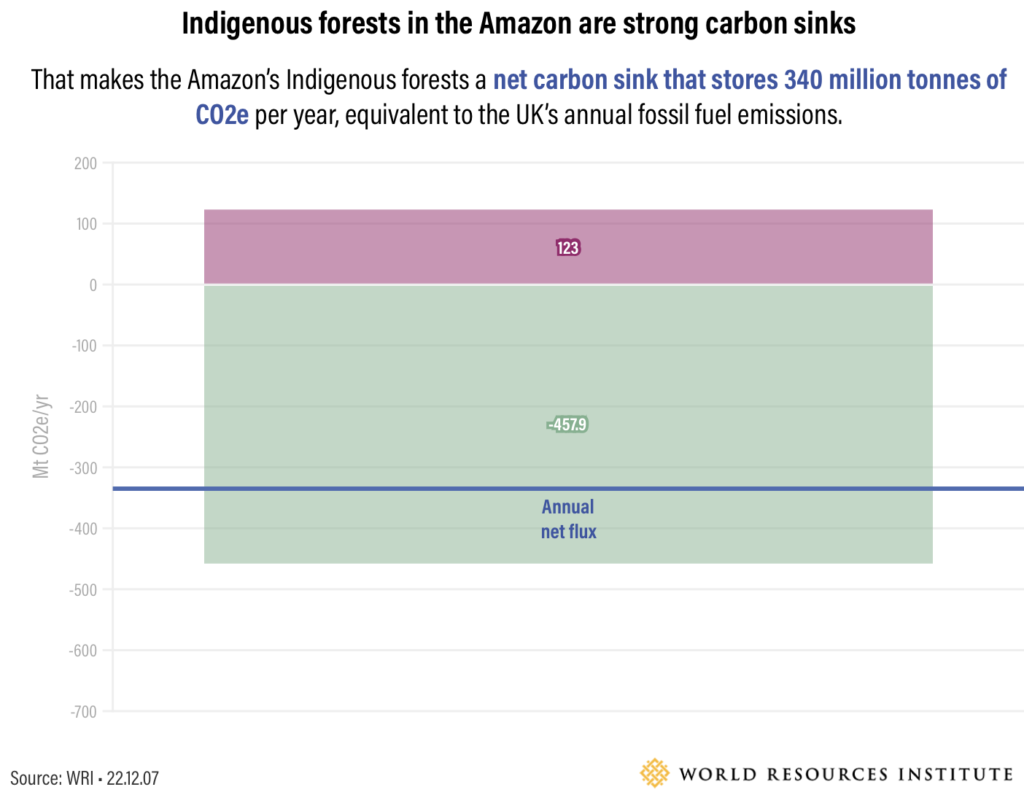 Indigenous people are better at protecting the Amazon’s last carbon sinks
