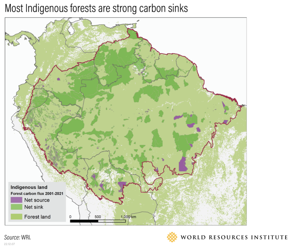 Indigenous people are better at protecting the Amazon’s last carbon sinks