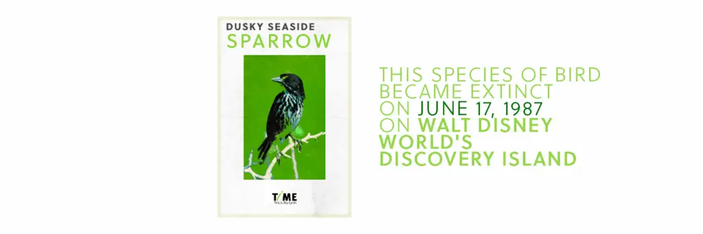 Endlings: The last Dusky seaside sparrow and Disney