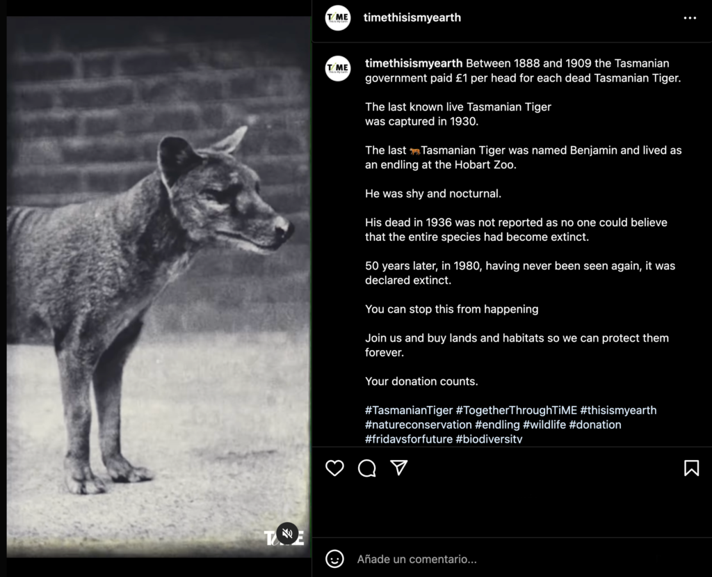 The story of the last live Tasmanian tiger explained - This is My Earth INSTAGRAM