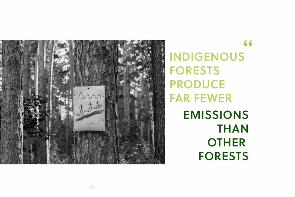 Indigenous people are better at protecting the Amazon’s last carbon sinks.
