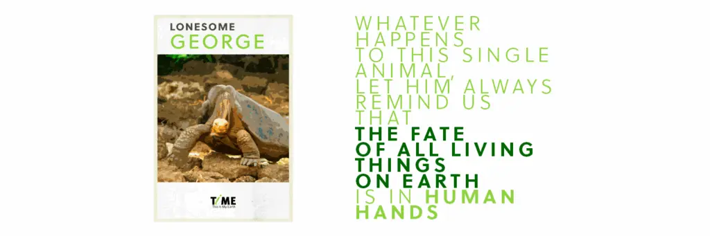 When Lonesome George — the sole remaining Pinta Island tortoise and Galapagos conservation icon — was found dead, news caused a great impact.