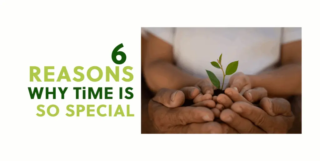 Here are 6 reasons that explain why This is My Earth is so unique