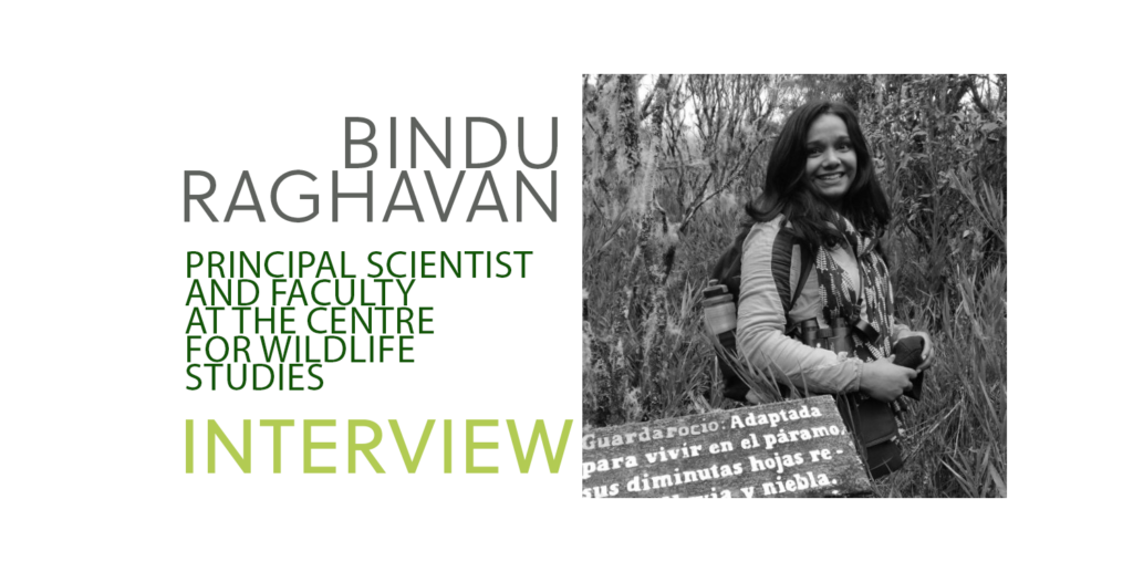 Dr. Bindu Raghavan, Principal Scientist and Faculty at the Centre for Wildlife Studies in India. With her, we talked about nature conservation in India and about the mission of This is My Earth as a game changer in the field of biodiversity.