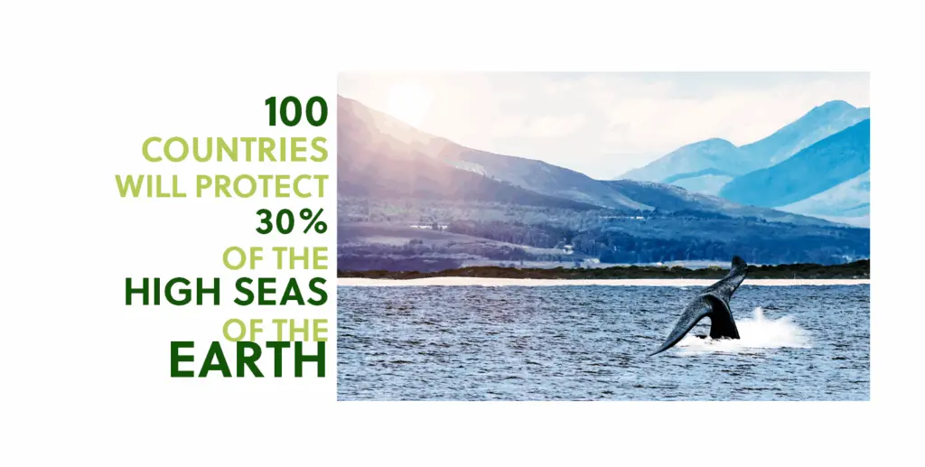 More than 100 countries will protect 30% of the high seas of the Earth after an unprecedented United Nations legal binding treaty has been signed