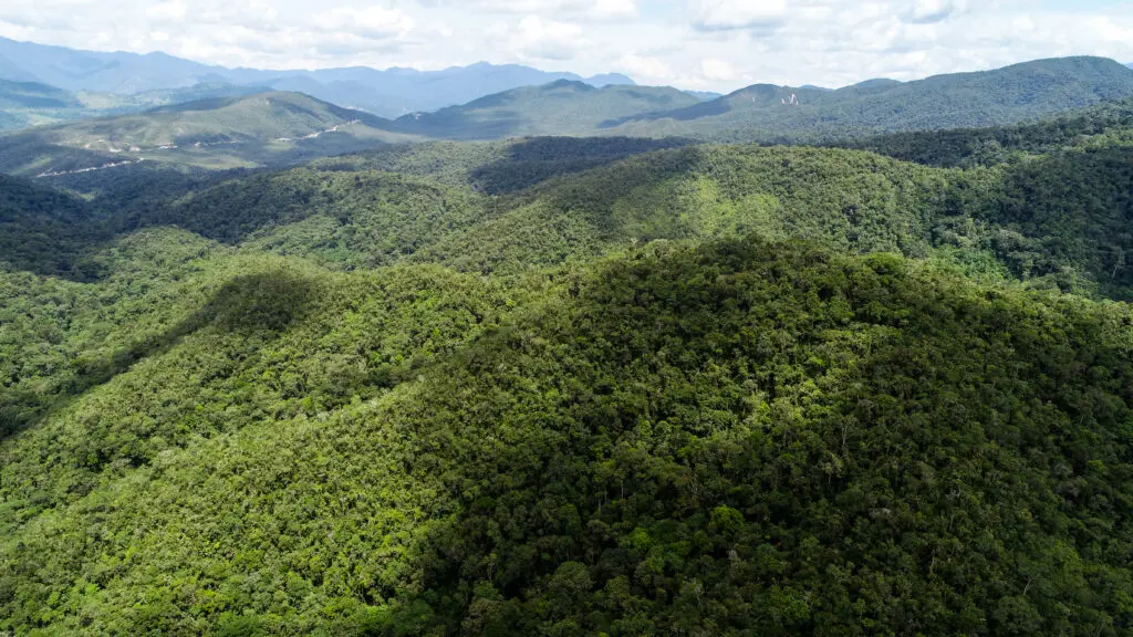 Landscape photo of forested mountains in Pampa del Burro, Peru