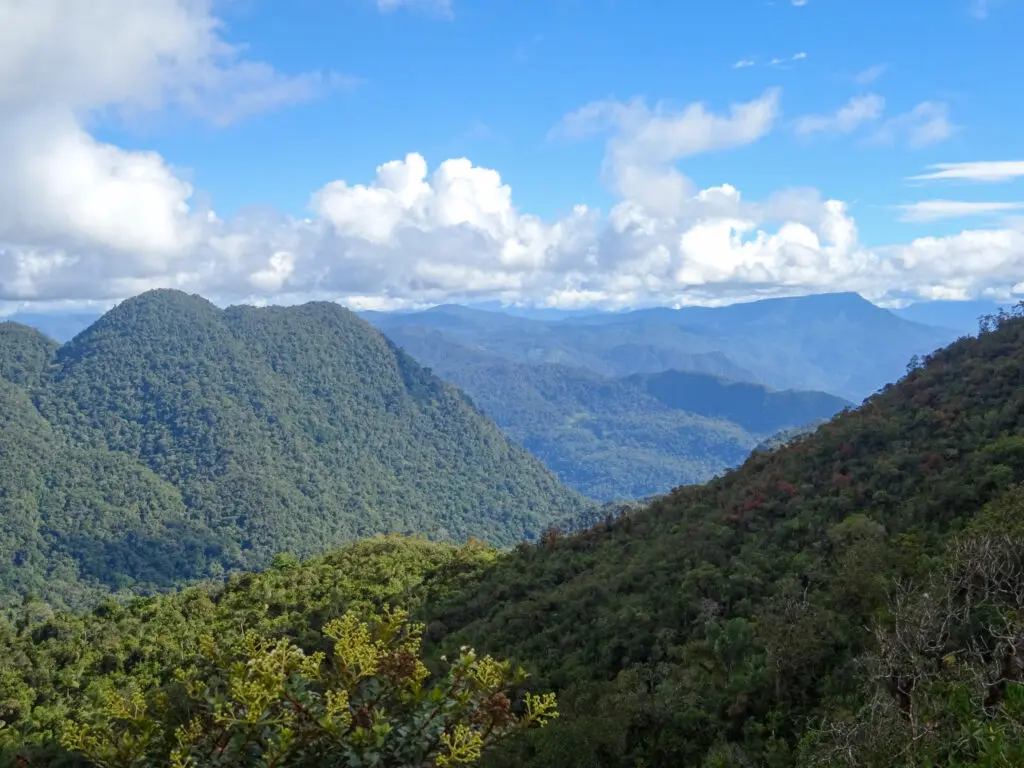 Landscape photo of the forested mountains of Sun Angel's Gardens, Peru, against a blue sky with white clouds