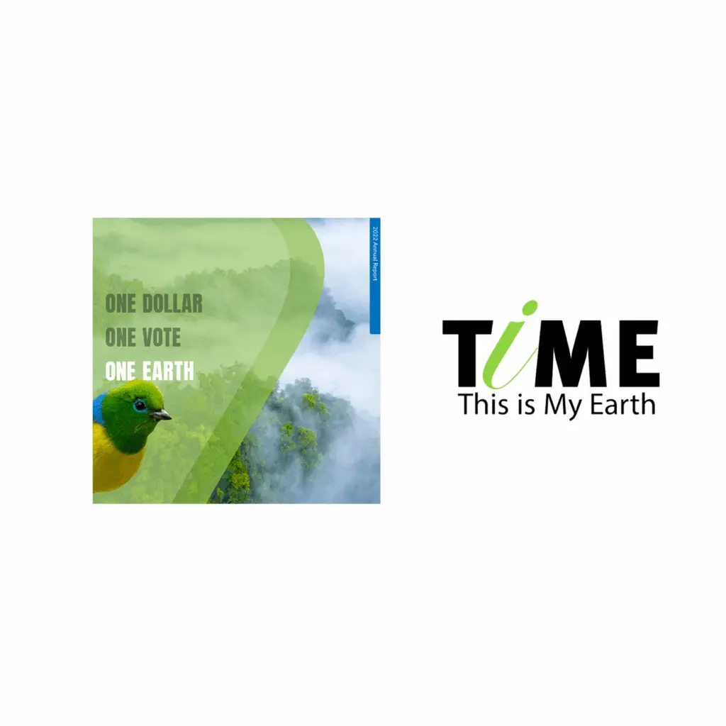 TiME's Annual Report