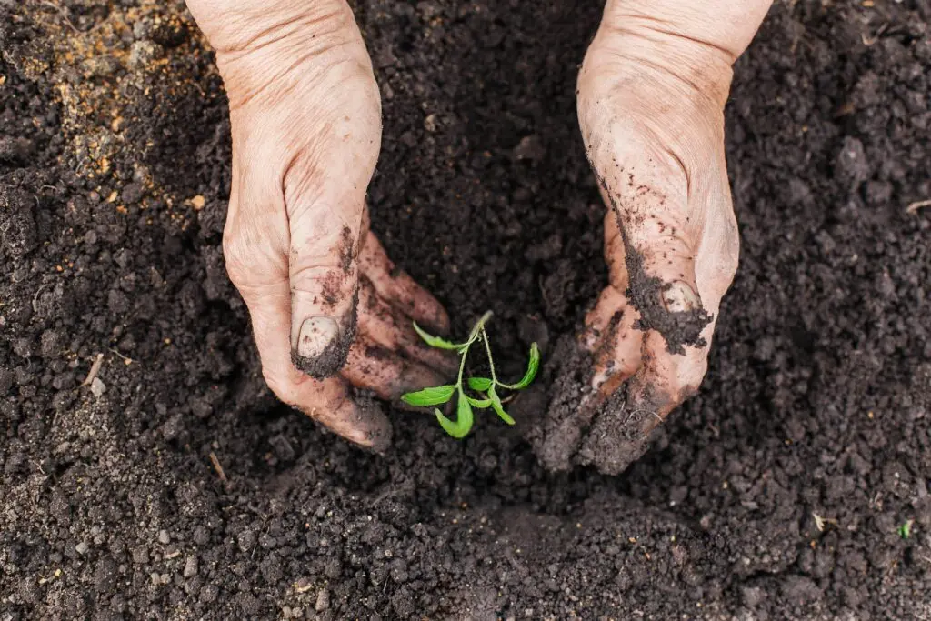 We work to gain teachers' trust, says Sarah Woods, founder of ECO, at a very special interview for This is My Earth.