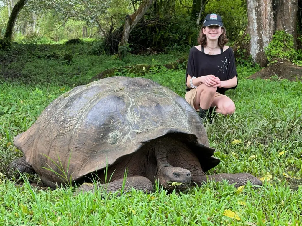 © David Radcliffe - Giant tortoise at the Galápagos