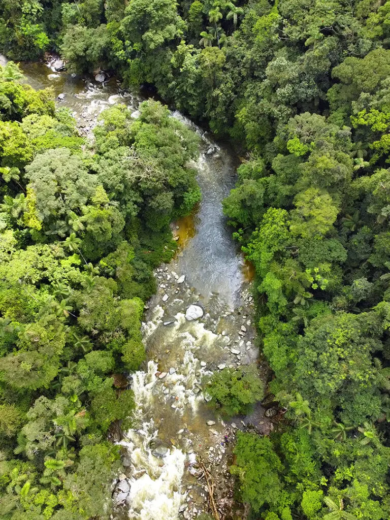 Aerial photo of a rushing river with forest on either side in Cabildo Pada Kera, Colombia.