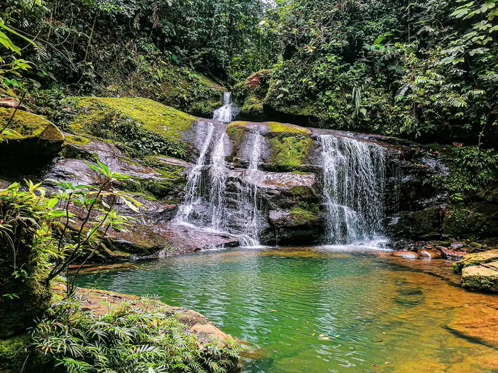 Photo of a waterfall and a pool in the forest of Cabildo Pada Kera, Colombia.