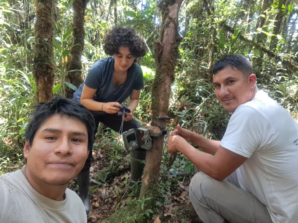 Photo of three people setting up a camera trap in the forests of Peru