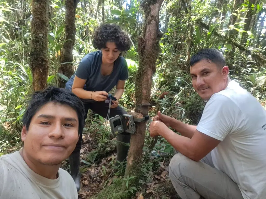 Photo of three people setting up a camera trap in the forests of Peru