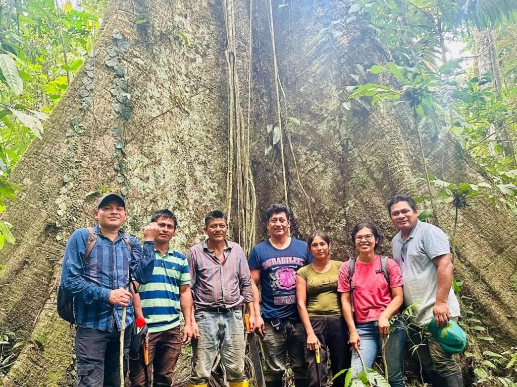 Photo of the people protecting IKIAM Reserve, Ecuador, standing at the base of a huge tree